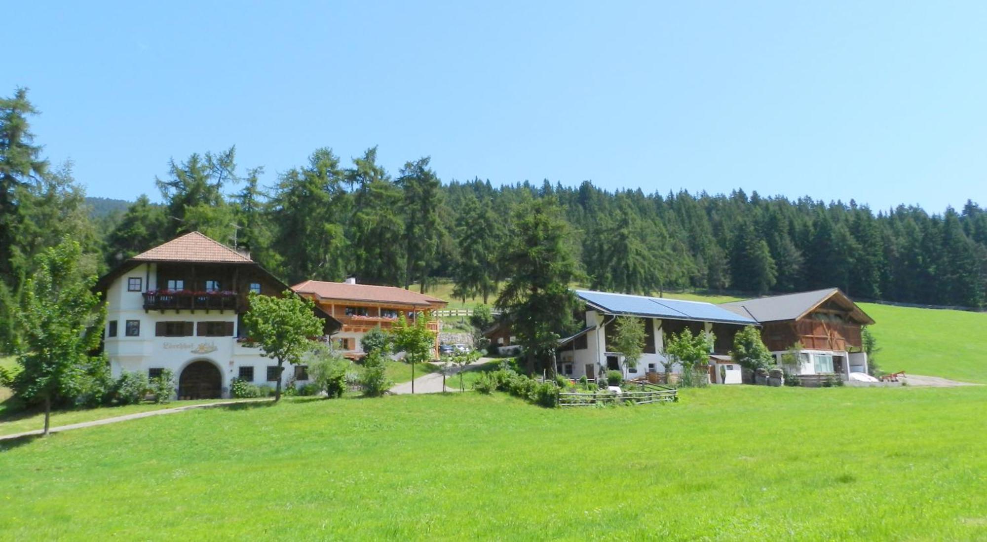 Villa Laerchhof Collalbo Esterno foto