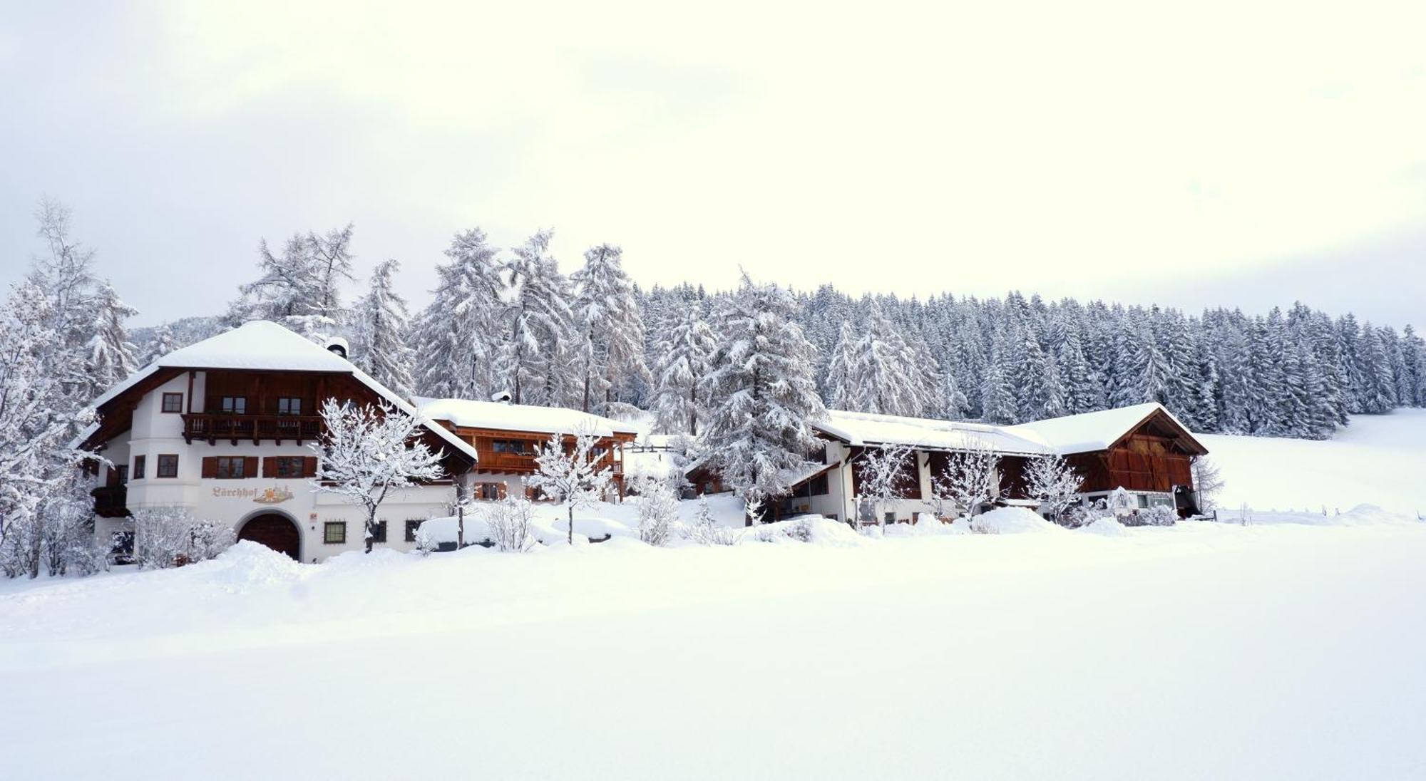 Villa Laerchhof Collalbo Esterno foto