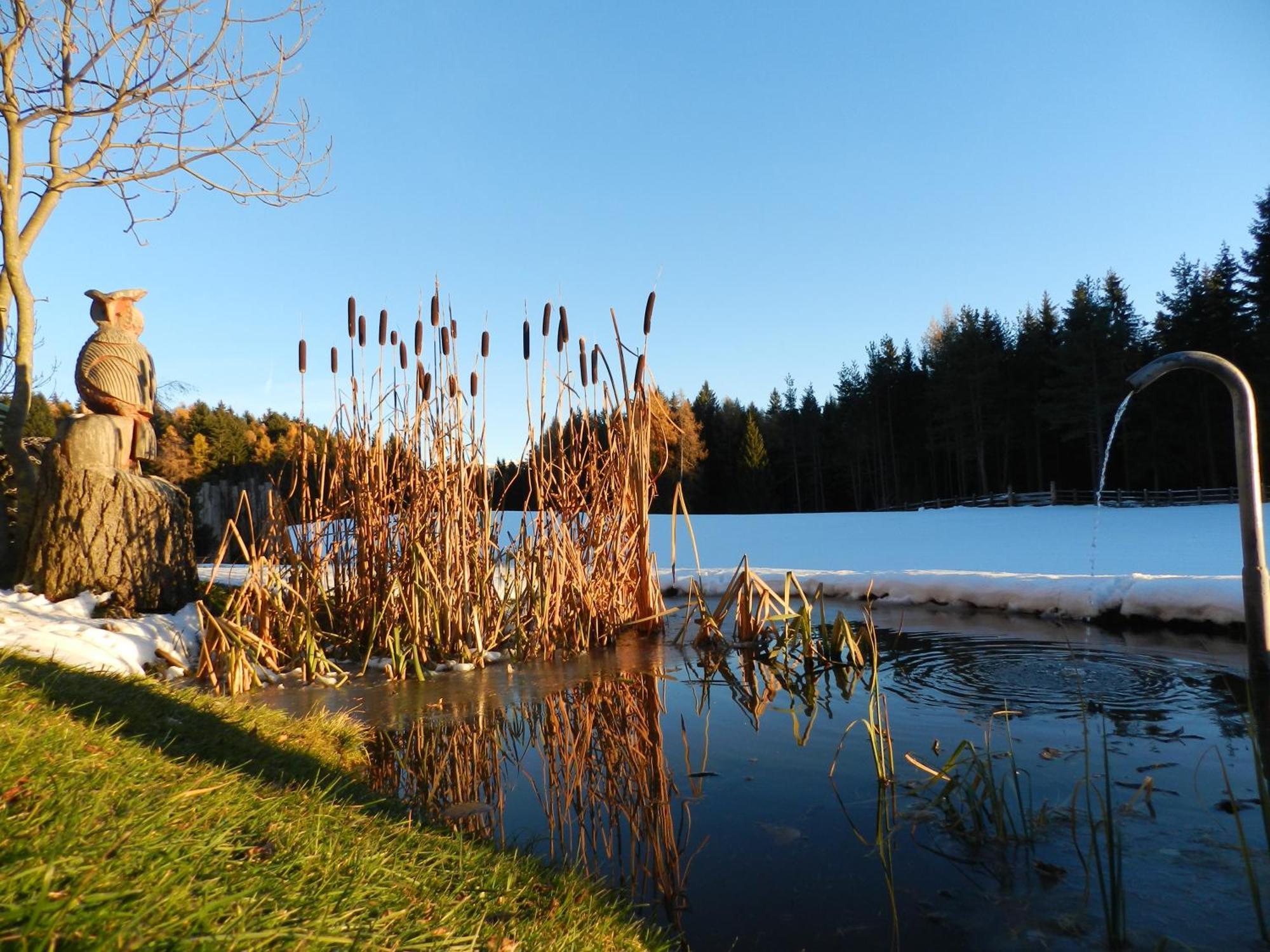 Villa Laerchhof Collalbo Esterno foto