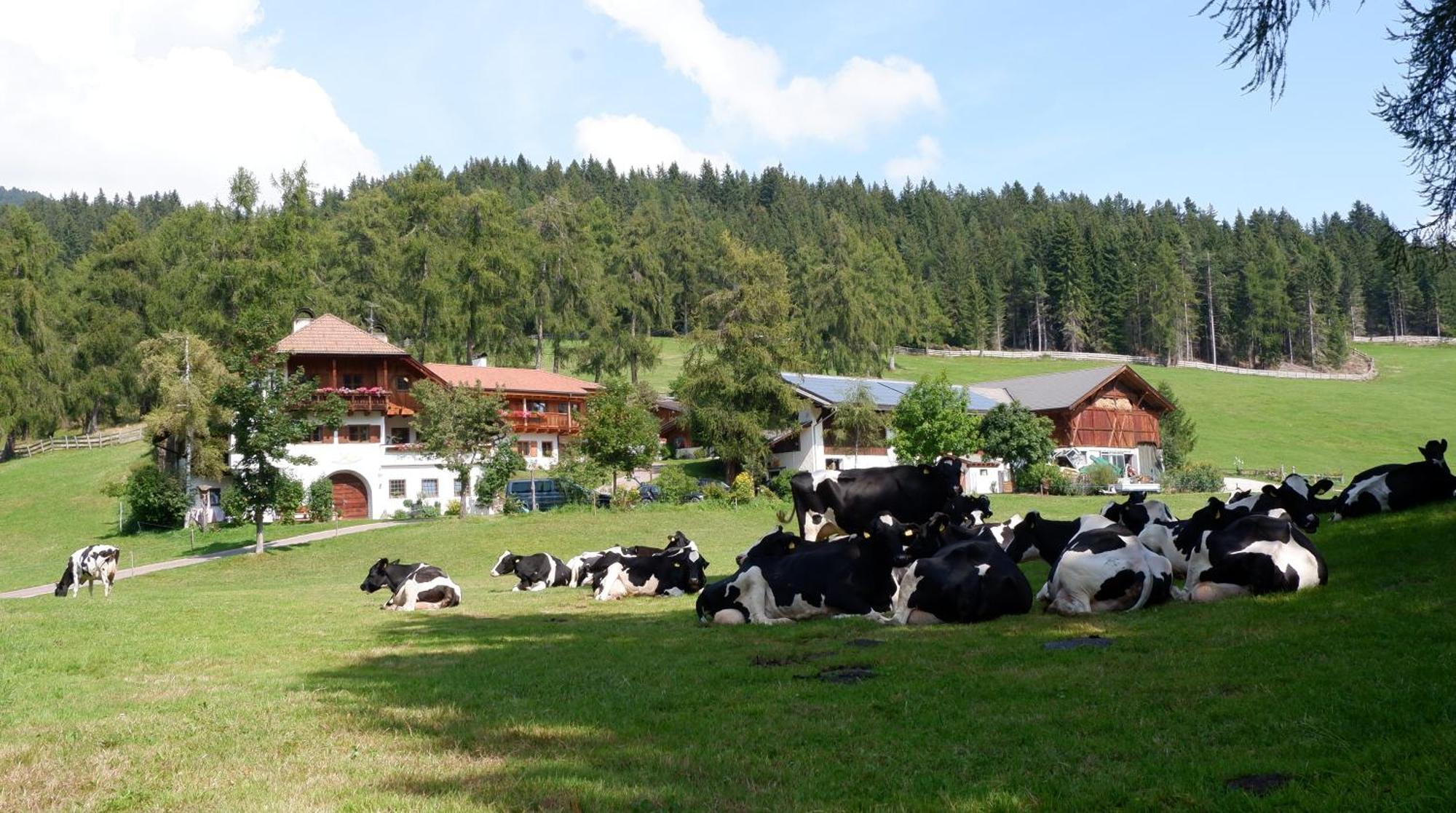 Villa Laerchhof Collalbo Esterno foto