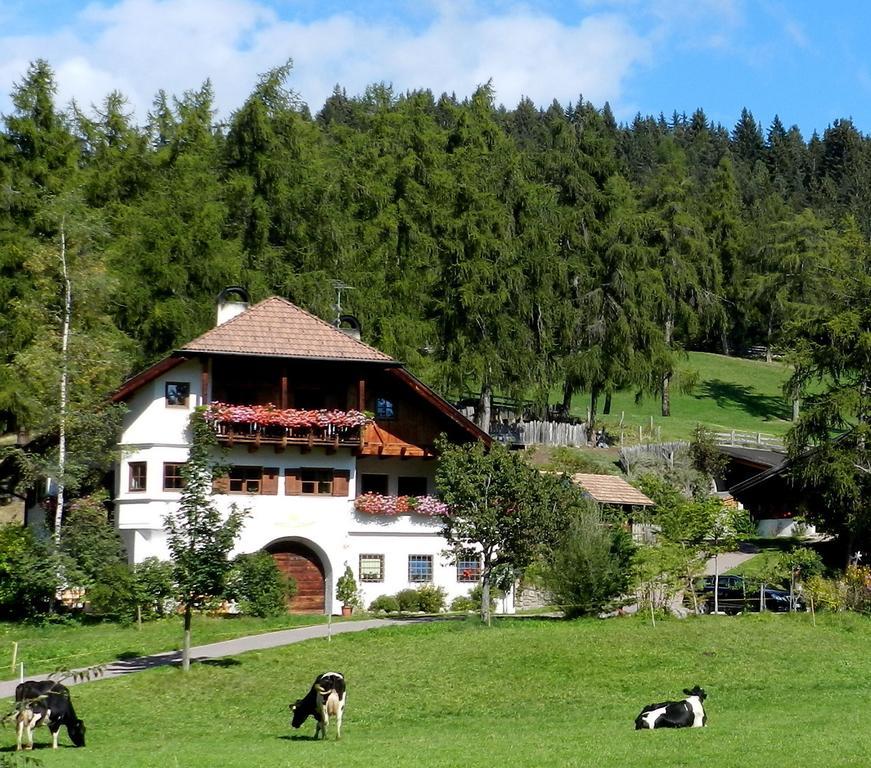 Villa Laerchhof Collalbo Esterno foto